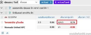 อัตราต่อรอง 4.5-5 คืออะไร