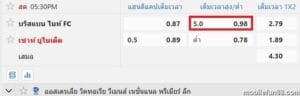 แฮนดิแคป +5 คืออะไร